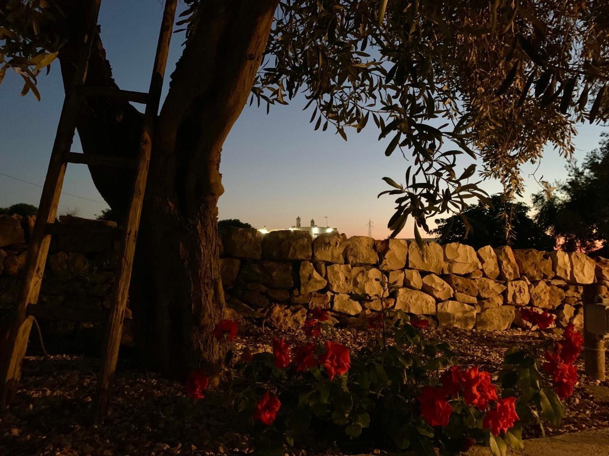Villa Bei Tempi Polignano a Mare Exterior foto