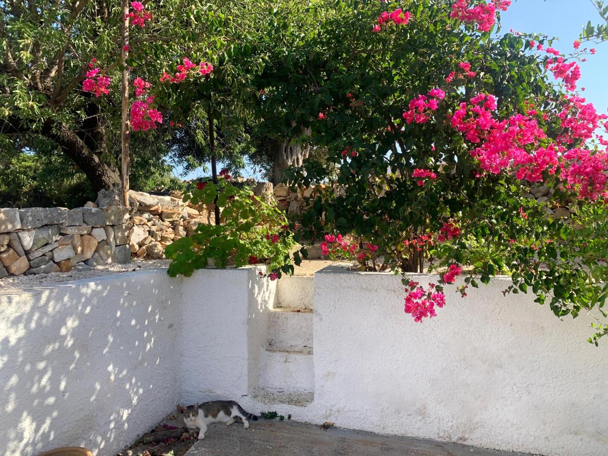 Villa Bei Tempi Polignano a Mare Exterior foto